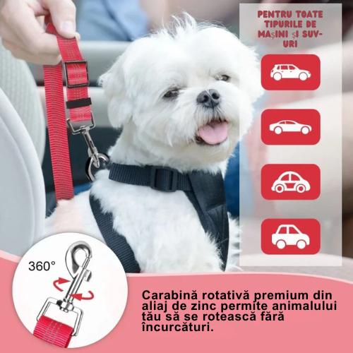 Centură auto de protecție
