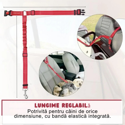 Centură auto de protecție